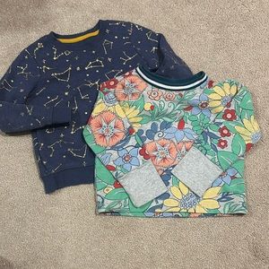 Bundle of Toddler Girl Sweatshirts